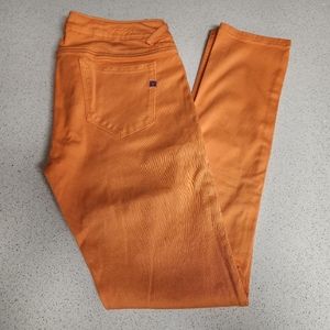 Vigoss Orange Jagger Skinny Jeans Size 7x31